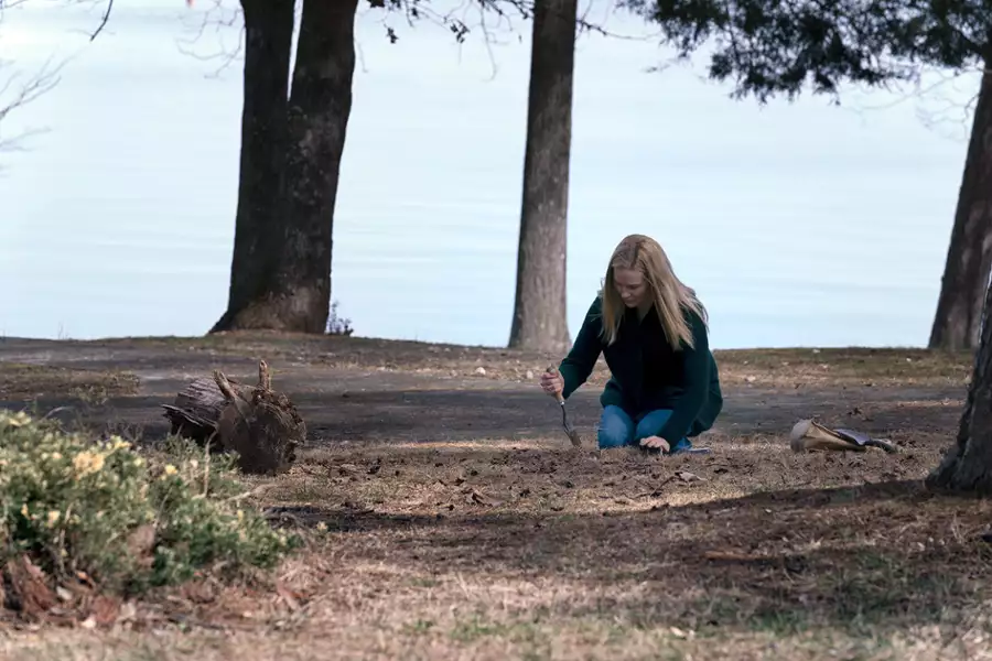 Ozark - galeria zdjęć - filmweb