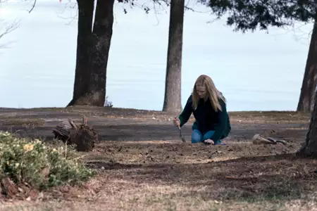 Ozark - galeria zdjęć - filmweb
