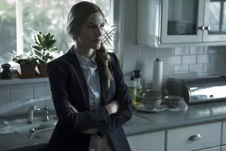 Ozark - galeria zdjęć - filmweb