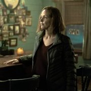 Ozark - galeria zdjęć - filmweb