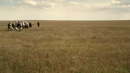 Stepy - galeria zdjęć - filmweb