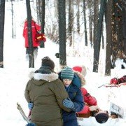 Arctic Air - galeria zdjęć - filmweb