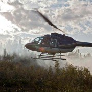 Arctic Air - galeria zdjęć - filmweb