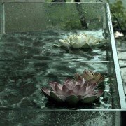Chun feng chen zui de ye wan - galeria zdjęć - filmweb