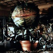 Little Shop of Horrors - galeria zdjęć - filmweb