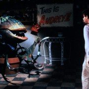 Little Shop of Horrors - galeria zdjęć - filmweb