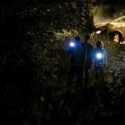 Zakazane owoce - galeria zdjęć - filmweb