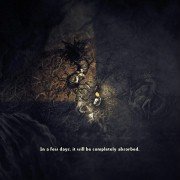 Darkwood - galeria zdjęć - filmweb