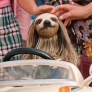 Slotherhouse: Leniwa śmierć - galeria zdjęć - filmweb