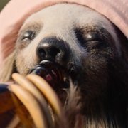 Slotherhouse - galeria zdjęć - filmweb