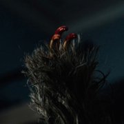 Slotherhouse - galeria zdjęć - filmweb