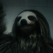 Slotherhouse - galeria zdjęć - filmweb