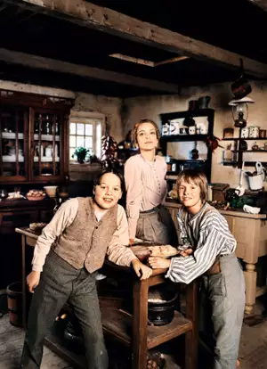 Przygody Tomka Sawyera - galeria zdjęć - filmweb