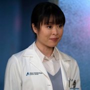 New Amsterdam - galeria zdjęć - filmweb