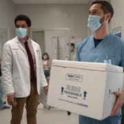 New Amsterdam - galeria zdjęć - filmweb