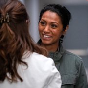 New Amsterdam - galeria zdjęć - filmweb