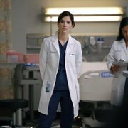 New Amsterdam - galeria zdjęć - filmweb