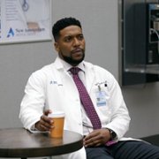 New Amsterdam - galeria zdjęć - filmweb