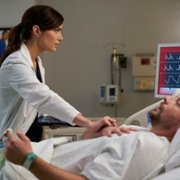 New Amsterdam - galeria zdjęć - filmweb