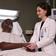 New Amsterdam - galeria zdjęć - filmweb
