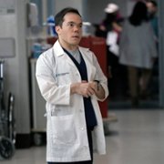 New Amsterdam - galeria zdjęć - filmweb