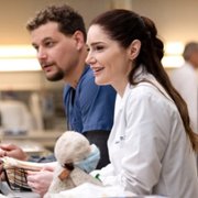 New Amsterdam - galeria zdjęć - filmweb