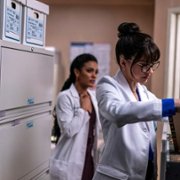 New Amsterdam - galeria zdjęć - filmweb