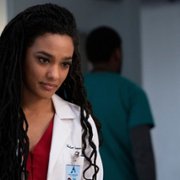 New Amsterdam - galeria zdjęć - filmweb