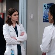 New Amsterdam - galeria zdjęć - filmweb