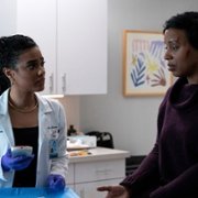 Szpital New Amsterdam - galeria zdjęć - filmweb