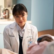 New Amsterdam - galeria zdjęć - filmweb