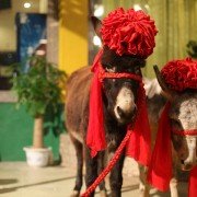 Vulgaria - galeria zdjęć - filmweb