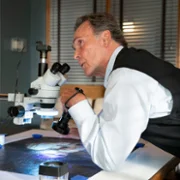 Genialna Morgan - galeria zdjęć - filmweb