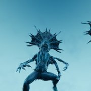 The Shore - galeria zdjęć - filmweb