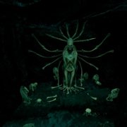 The Shore - galeria zdjęć - filmweb