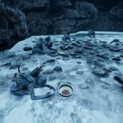 The Shore - galeria zdjęć - filmweb