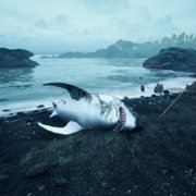 The Shore - galeria zdjęć - filmweb