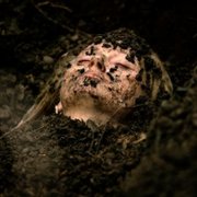 Britannia - galeria zdjęć - filmweb