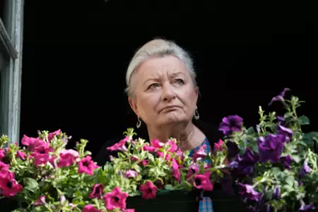 Pułapka - galeria zdjęć - filmweb