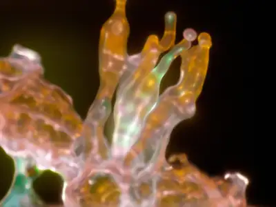 The Book of Flowers - galeria zdjęć - filmweb