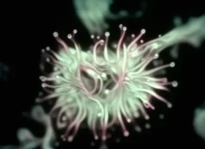 The Book of Flowers - galeria zdjęć - filmweb