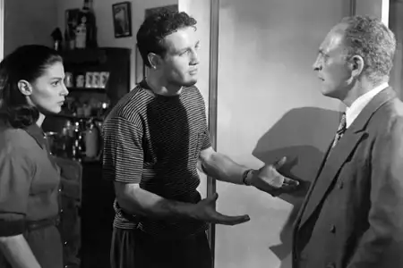 Między linami ringu - galeria zdjęć - filmweb