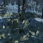 Assassin's Creed Rogue - galeria zdjęć - filmweb