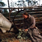 Kukushka - galeria zdjęć - filmweb
