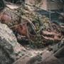 The Last of Us - galeria zdjęć