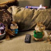 Alvin and the Chipmunks - galeria zdjęć - filmweb