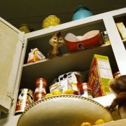 Alvin and the Chipmunks - galeria zdjęć - filmweb