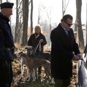 Wallander - galeria zdjęć - filmweb