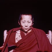 Wisdom of Happiness - galeria zdjęć - filmweb