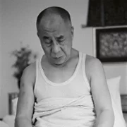 Wisdom of Happiness - galeria zdjęć - filmweb